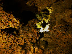photography