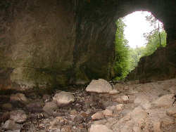 photography