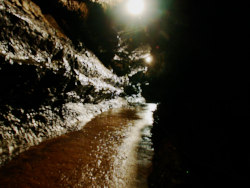 photography