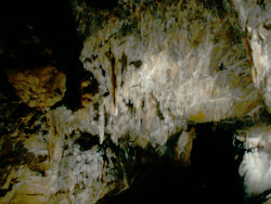 photography