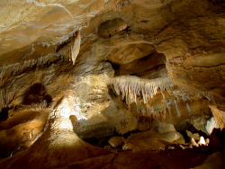 photography