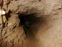 photography