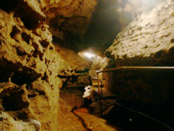 photography