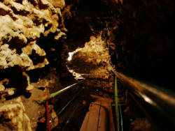 photography
