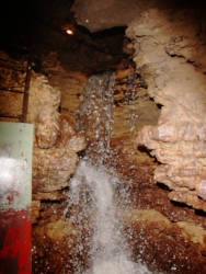 photography