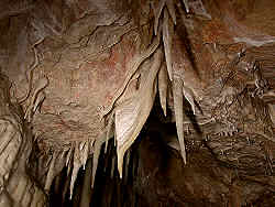 photography