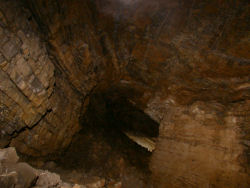 photography