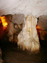 photography