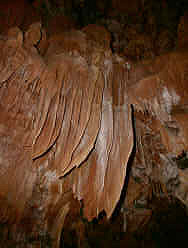 photography