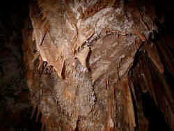 photography