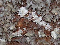photography