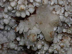 photography
