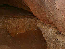 photography