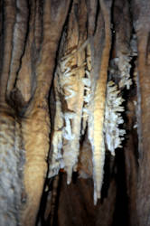 photography