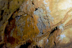 photography