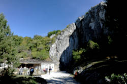 photography