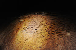 photography