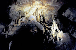 photography