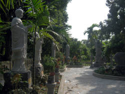 photography