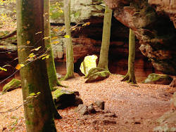 photography