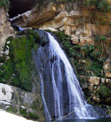 photography