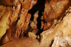photography