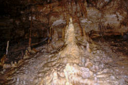 photography