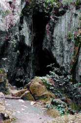 photography